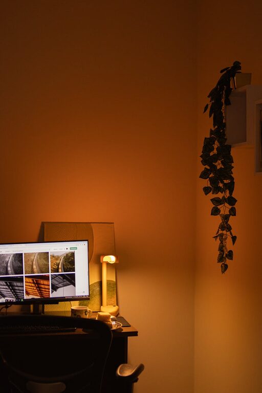Creating a Comfortable and Productive Home Office Space: Top Tips